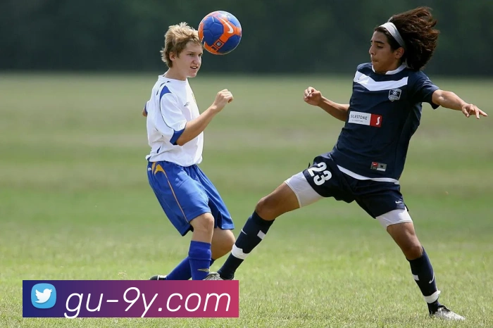 九游官网APP 封面图